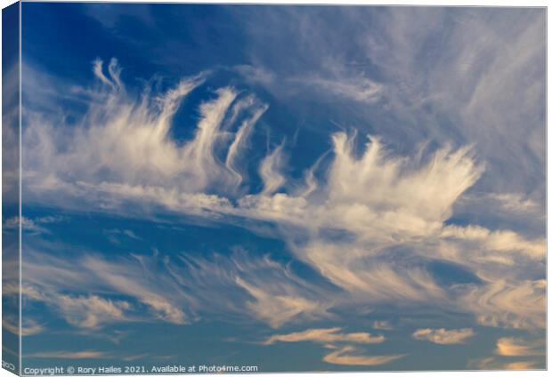 Cirrus cloud against a blue sky Canvas Print by Rory Hailes