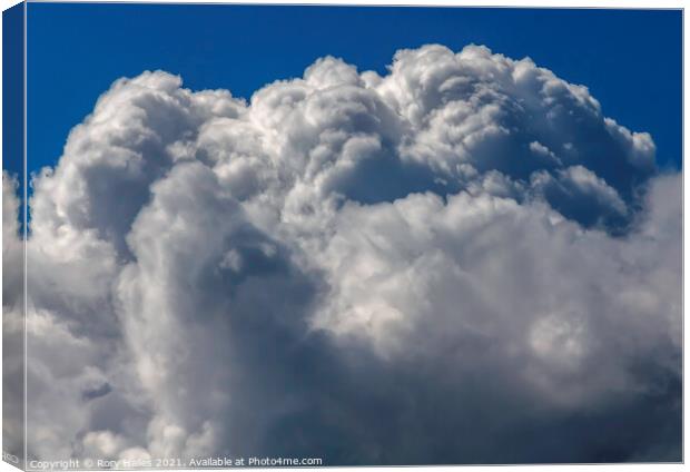 Cumulus cloud Canvas Print by Rory Hailes