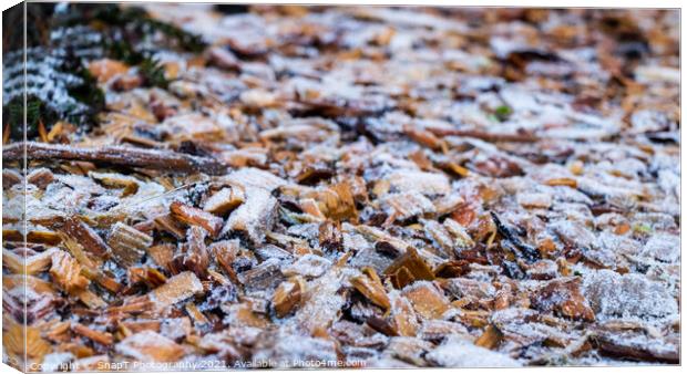 Close up of white frost covered wood chips in winter Canvas Print by SnapT Photography