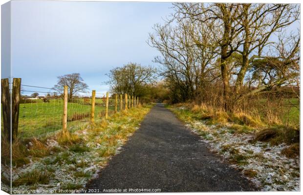 A frosty countryside trail, with snow on the ground, Scotland Canvas Print by SnapT Photography