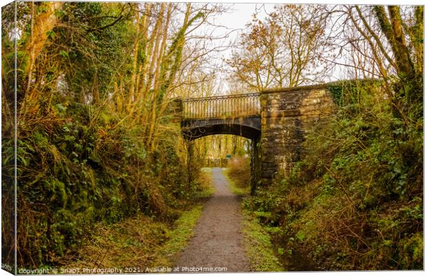 Road bridge at Lodge of Kelton over the old Paddy Line or Galloway railway line Canvas Print by SnapT Photography