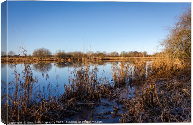 A flooded River Dee at Threave Castle, the has burst its banks during a flood Canvas Print by SnapT Photography