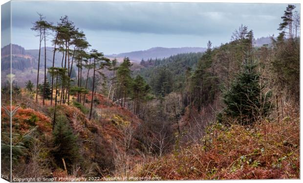 Glen of the Bar viewpoint in Autumn beside The Queen's Way, Galloway Forest Canvas Print by SnapT Photography