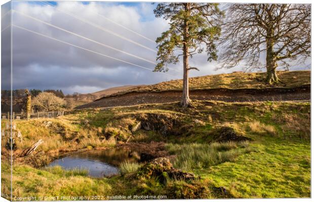 The Green Well of Scotland at Carsphairn, Dumfries and Galloway, Scotland Canvas Print by SnapT Photography