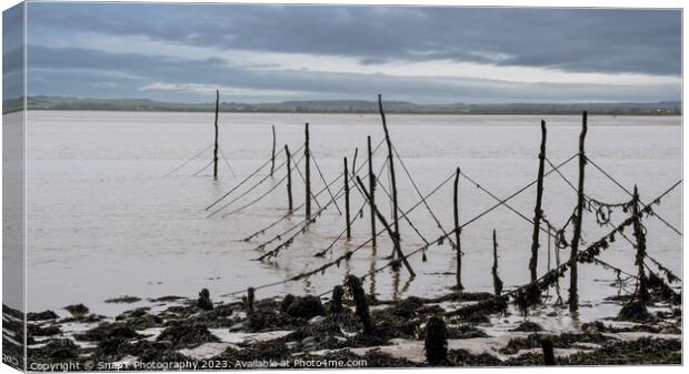 Salmon stake nets at low tide on the River Cree estuary at Carsluith, Scotland Canvas Print by SnapT Photography