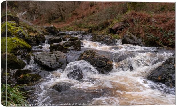 Winter runoff and fast turbulent water on a highland stream or burn in Scotland Canvas Print by SnapT Photography