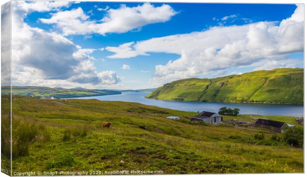A view across Loch Harport on the Isle of Skye, with a Highland cow grazing Canvas Print by SnapT Photography