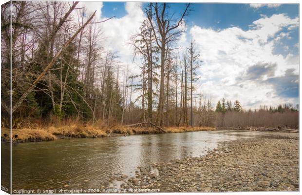 Beautiful small stream in British Columbia, Canada, in the Spring Canvas Print by SnapT Photography