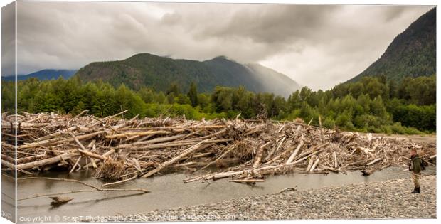 A man standing beside a very big log jam on a river in British Columbia, Canada Canvas Print by SnapT Photography
