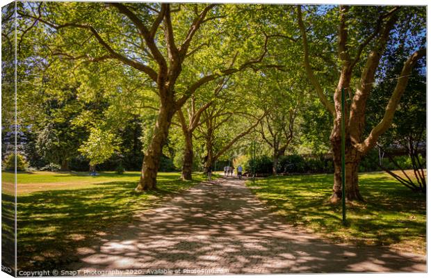 A woodland path in Stanley Park, Vancouver, British Columbia, Canada Canvas Print by SnapT Photography