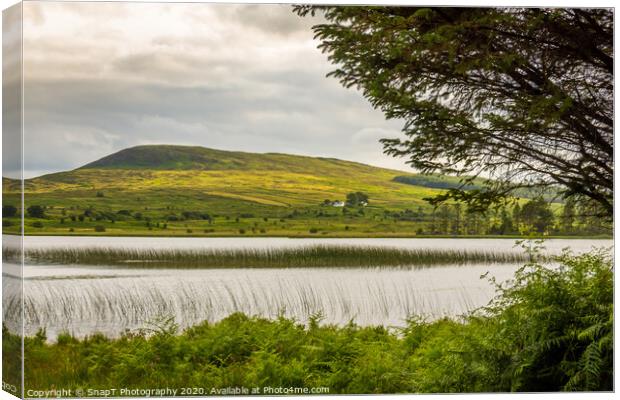 A view of Loch Stroan with a reed bed and the hill Canvas Print by SnapT Photography