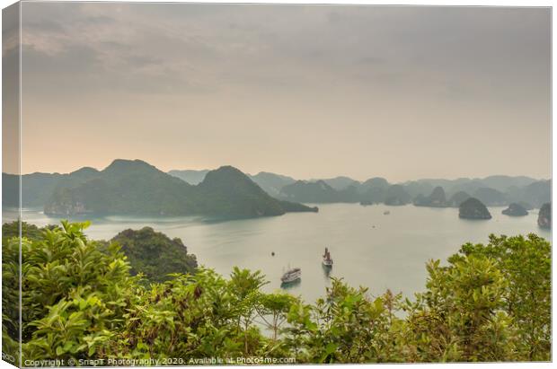 Beautiful early morning view over the islands of Ha Long Bay, Vietnam Canvas Print by SnapT Photography