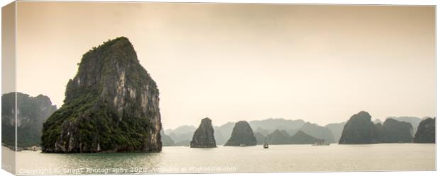 Limestone karst islands in Ha long Bay, Vietnam Canvas Print by SnapT Photography