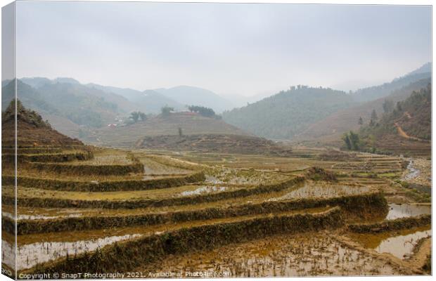 A vietnamese rice terrace on a winters morning in Sapa, Northern Vietnam Canvas Print by SnapT Photography