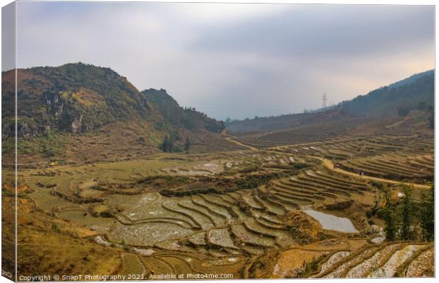 A view over a Vietnamese landscape of rice terraces in winter, Sapa, Vietnam Canvas Print by SnapT Photography