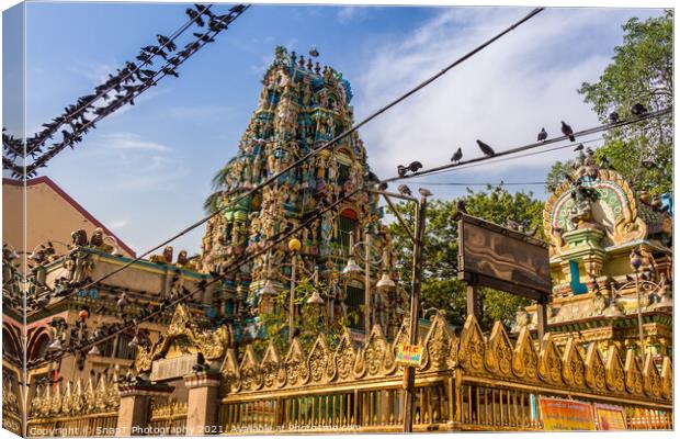 The Shri Kali Temple in central Yangon, Myanmar, surrounded by a flock of birds Canvas Print by SnapT Photography