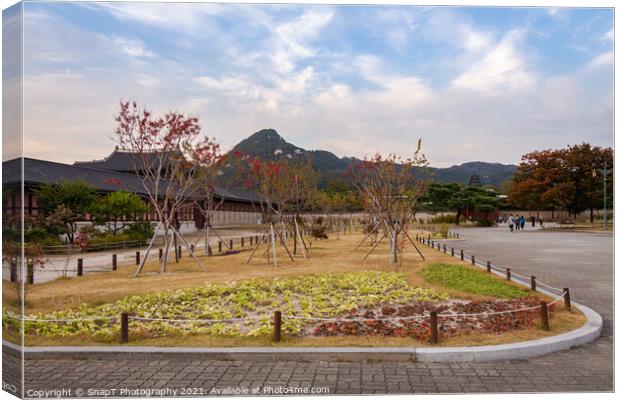 A park in the grounds of Gyeongbokgung Palace and Inwangsan Mountain Canvas Print by SnapT Photography
