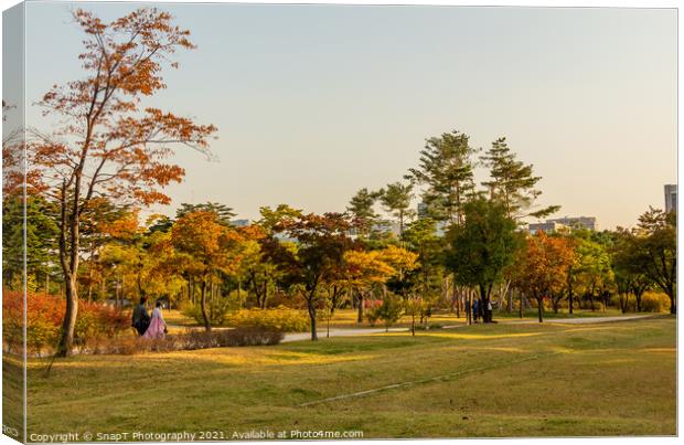 The grounds of Gyeongbokgung Palace in autumn colours in late afternoon Canvas Print by SnapT Photography
