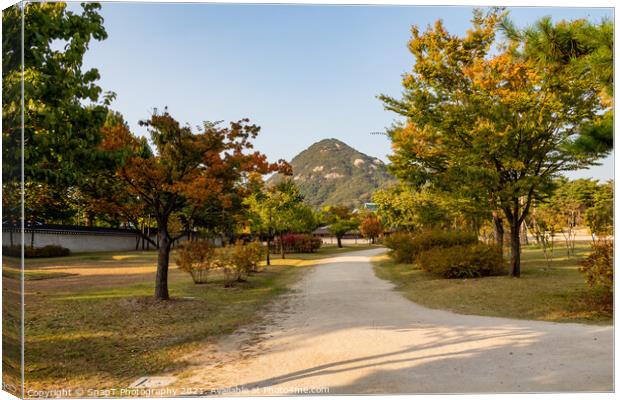 The gardens of Gyeongbokgung Palace, with Bugaksan Mountain in the background Canvas Print by SnapT Photography