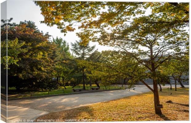 A park in Seoul with trees in autumn colours, at Gyeongbokgung Palace Canvas Print by SnapT Photography
