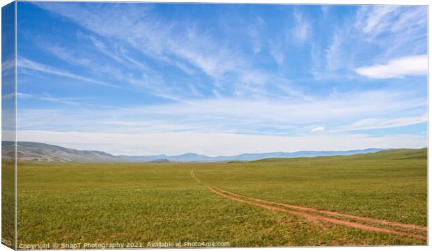 A track across a Mongolian grassland with mountains in the background Canvas Print by SnapT Photography