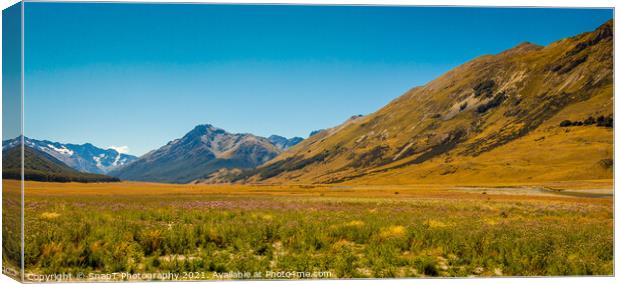 A meadow in the Ahuriri Valley, surrounded by mountains, Canterbury, New Zealand Canvas Print by SnapT Photography