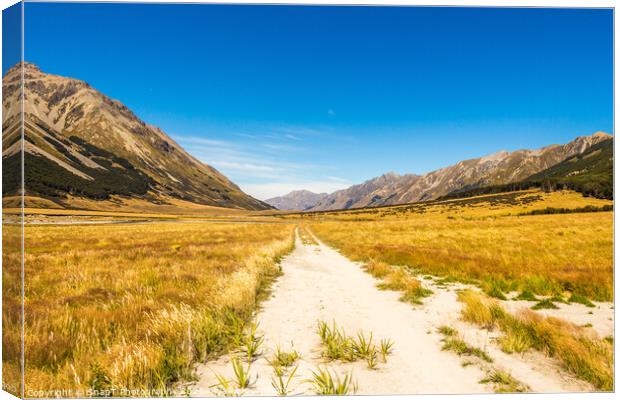The Ahuriri track, in the conservation park, leading through a grassland valley Canvas Print by SnapT Photography