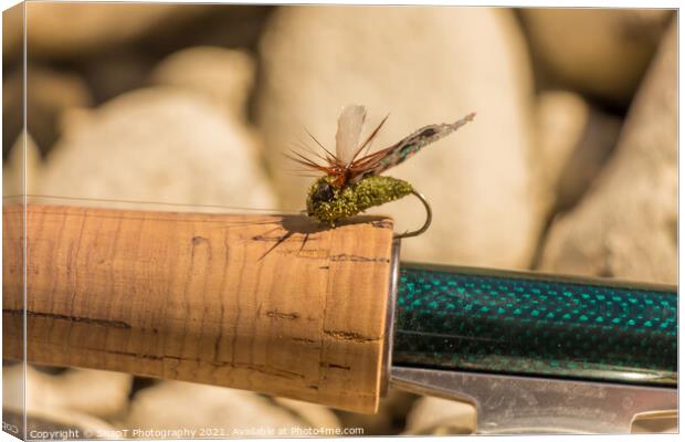 A macro shot of an artificial cicada fly for fishing for trout Canvas Print by SnapT Photography