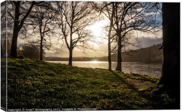 Winter sun breaking through the trees on Loch Ken, a Scottish Loch in Galloway Canvas Print by SnapT Photography