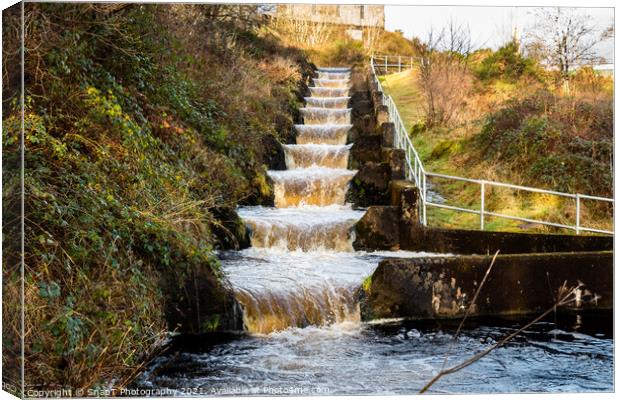 Earlstoun salmon ladder or fish pass, at Earlstoun Power Station Canvas Print by SnapT Photography