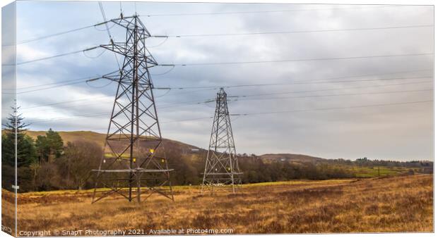 Electricity pylons in a field on a cloudy day in winter at Kendoon Power Station Canvas Print by SnapT Photography