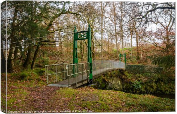 Green suspension bridge over a deep gorge and river in a forest in Scotland Canvas Print by SnapT Photography