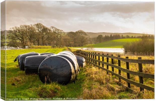 Silage bales beside a wooden fence in a green field, at sunset Canvas Print by SnapT Photography