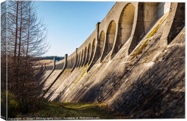 Arches at the top of Clatteringshaws Dam, on the Galloway Hydro Electric Scheme Canvas Print by SnapT Photography