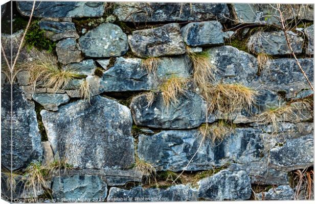 Abstract of an old Scottish drystone wall or dyke, with moss and grass growing Canvas Print by SnapT Photography