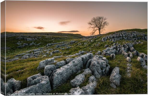 Yorkshire Sunrise Canvas Print by James Catley