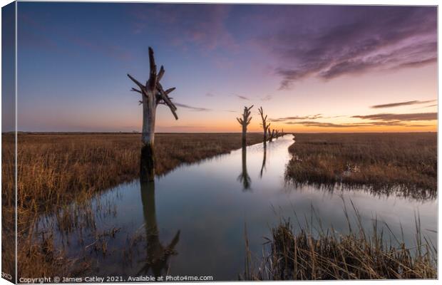 Tollesbury Trees Canvas Print by James Catley