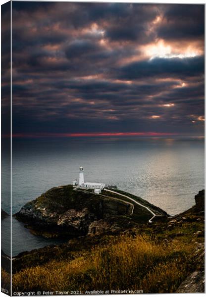 South Stack Lighthouse Canvas Print by Peter Taylor