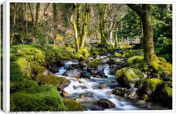 Flowing river by the Minffordd path Canvas Print by Peter Taylor