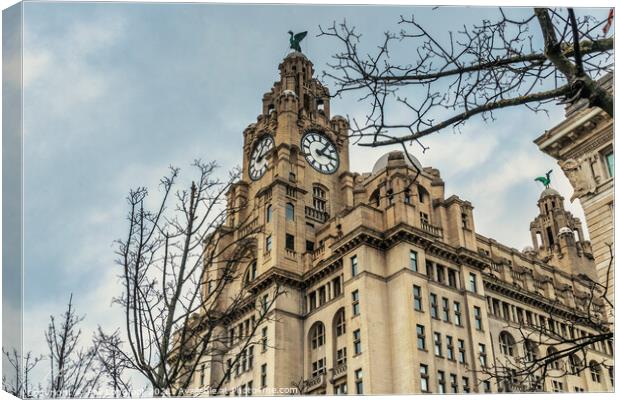 Royal Liver Building Liverpool  Canvas Print by Phil Longfoot