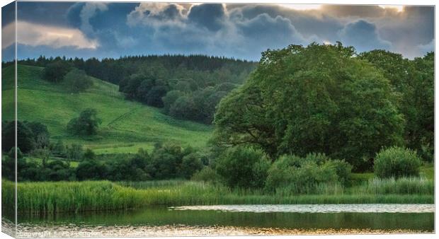 Esthwaite Water at dusk Canvas Print by Phil Longfoot