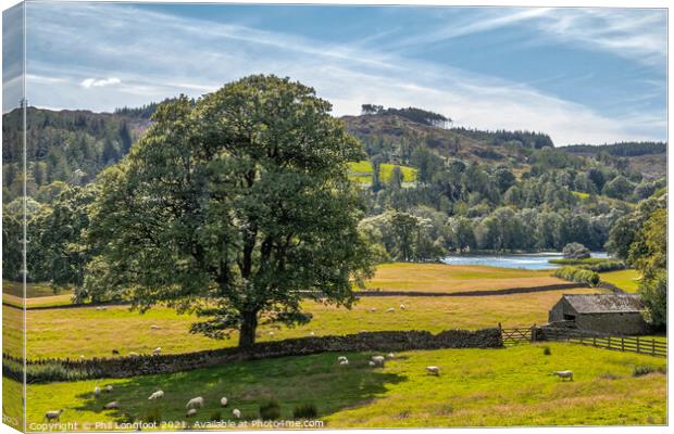 View down the hill to Esthwaite Water South Lakes Canvas Print by Phil Longfoot