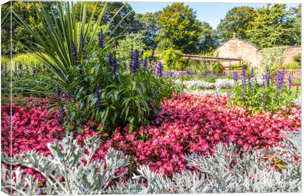English Country Garden  Canvas Print by Phil Longfoot