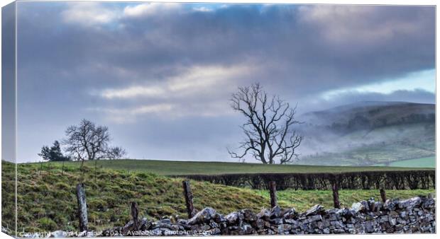 Moor near Bassenthwaite Lake  Canvas Print by Phil Longfoot