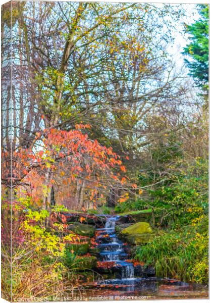 Sefton Park Autumnal Colours Canvas Print by Phil Longfoot