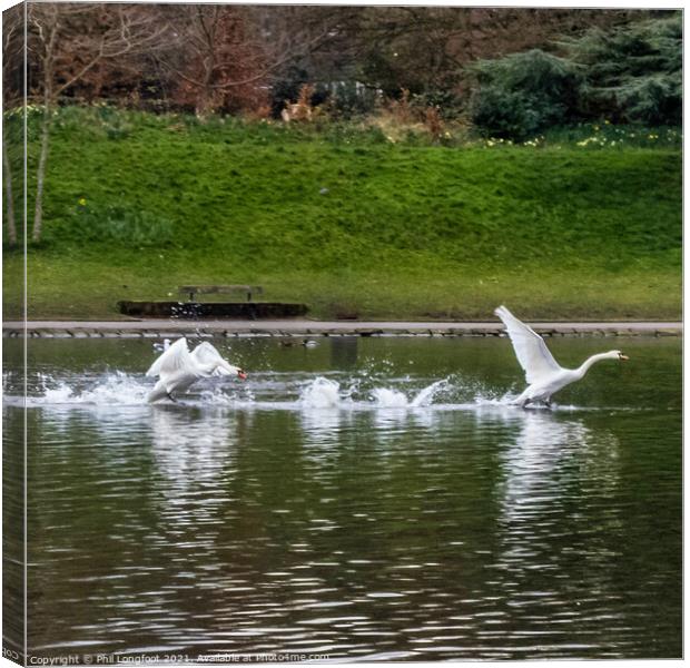 Swan take off. Canvas Print by Phil Longfoot