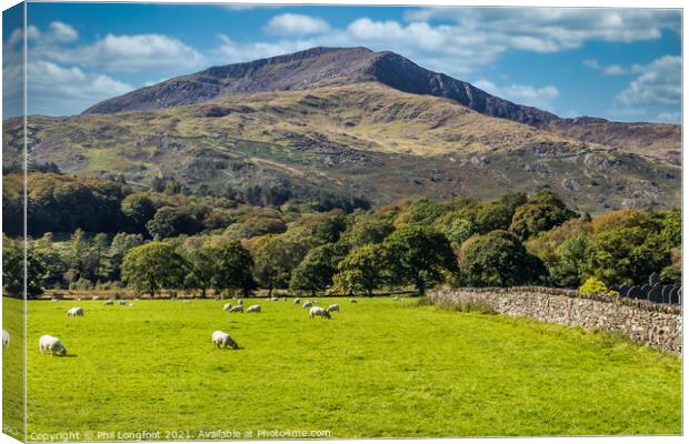 Beddgelert Snowdonia  Canvas Print by Phil Longfoot