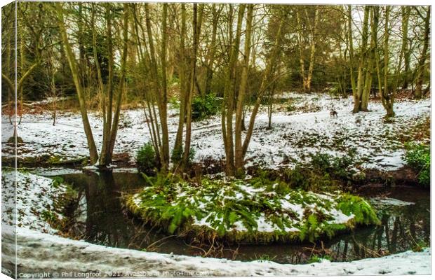 Winter watercourse in Sefton Park Liverpool  Canvas Print by Phil Longfoot