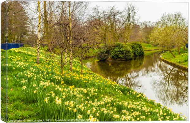 Daffodils in Sefton Park Liverpool Canvas Print by Phil Longfoot