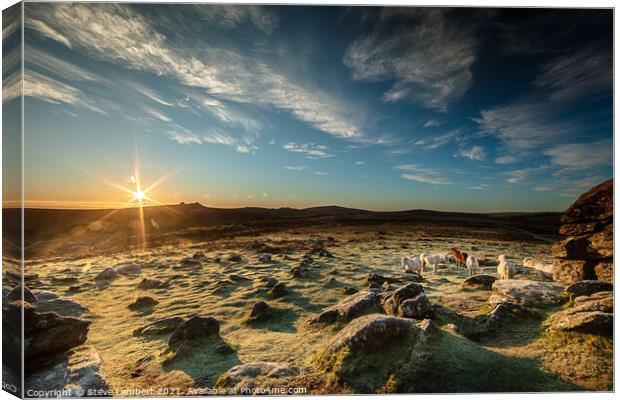 The first sunrise Canvas Print by Steve Lambert